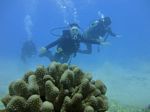 Hawaii Scuba divng 21