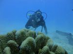 Hawaii Scuba divng 22