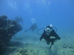 Hawaii Scuba divng 35