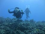 Hawaii Scuba divng 45