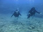 Hawaii Scuba divng 46