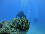 Hawaii Scuba divng 52