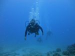 Hawaii Scuba divng 54