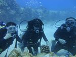 Hawaii Scuba divng 65