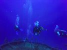 Hawaii Scuba divng 11