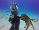 Hawaii Scuba divng 19