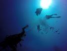 Hawaii Scuba divng 01