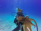 Hawaii Scuba divng 21