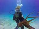 Hawaii Scuba divng 22