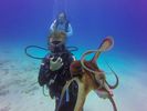 Hawaii Scuba divng 23