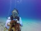 Hawaii Scuba divng 27