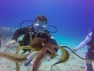 Hawaii Scuba divng 29