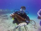 Hawaii Scuba divng 30