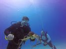 Hawaii Scuba divng 34