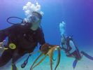 Hawaii Scuba divng 35