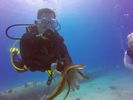 Hawaii Scuba divng 36