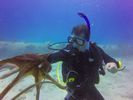 Hawaii Scuba divng 40