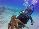 Hawaii Scuba divng 42