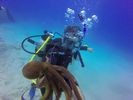 Hawaii Scuba divng 44