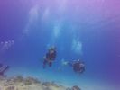 Hawaii Scuba divng 51