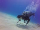 Hawaii Scuba divng 51