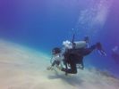 Hawaii Scuba divng 52