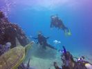 Hawaii Scuba divng 65