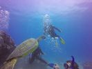 Hawaii Scuba divng 66