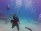 Hawaii Scuba divng 69