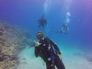 Hawaii Scuba divng 71