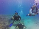 Hawaii Scuba divng 72