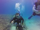 Hawaii Scuba divng 73