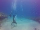 Hawaii Scuba divng 76