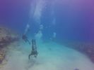 Hawaii Scuba divng 77