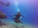 Hawaii Scuba divng 82