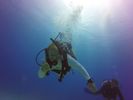 Hawaii Scuba divng 93