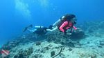 Hawaii scuba 13