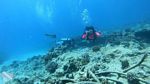 Hawaii scuba 14