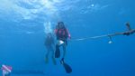 Hawaii scuba 09