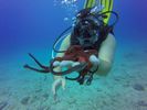 Hawaii Scuba divng 11