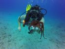 Hawaii Scuba divng 13