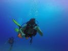 Hawaii Scuba divng 19