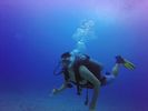 Hawaii Scuba divng 20