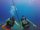 Hawaii Scuba divng 23