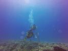 Hawaii Scuba divng 24