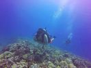 Hawaii Scuba divng 25