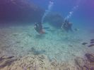 Hawaii Scuba divng 29