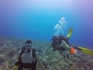 Hawaii Scuba divng 02