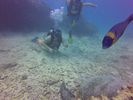 Hawaii Scuba divng 31