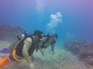 Hawaii Scuba divng 33